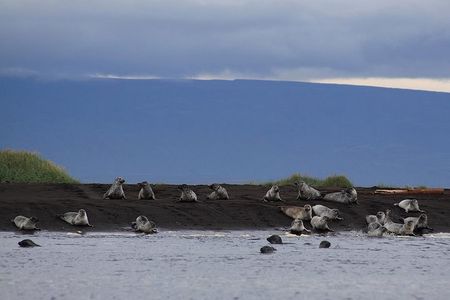 Wild North Iceland Exploration by Super Jeep from Reykjavik