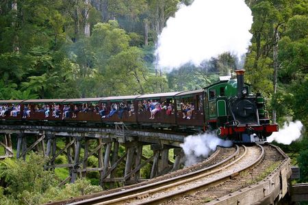 Private Dandenong Ranges Tour including Puffing Billy