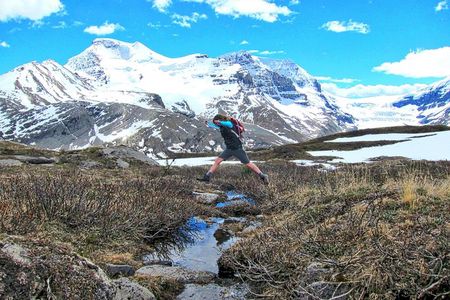 Banff to Jasper One-Way Tour