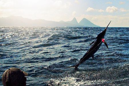 St Lucia Sport Fishing Tour