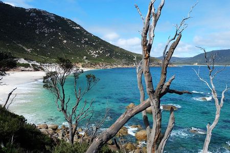 Wilsons Promontory Hiking Day Tour – Small Group (4–11 Guests)