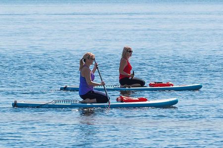 Dolphin and Manatee Paddleboard Tour