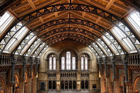 Natural History Museum London - Exclusive Guided Museum Tour