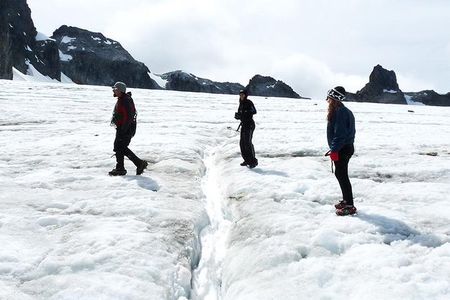 Albino's Eye Glacier Full-Day Trekking Tour from Ushuaia