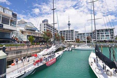 Auckland City Highlights Small Group Tour 