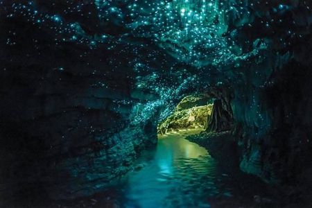 Auckland to Rotorua via Waitomo Caves Small Group Tour (One Way)