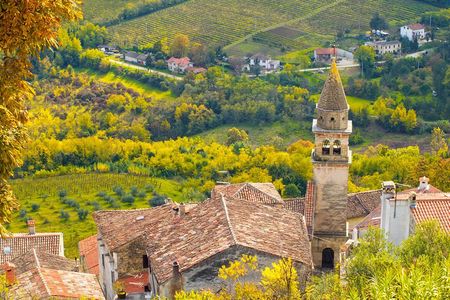 Half day trip to Motovun with Local Brandies Tasting