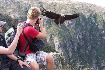 Mendoza Trekking Tour in Cordón del Plata with Argentine Lunch