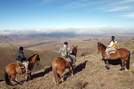 Uco Valley Horseback Riding Tour with Traditional Argentine Lunch