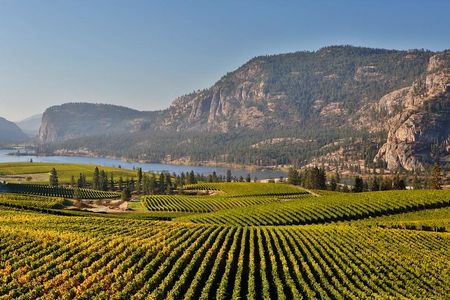 East Kelowna Wine Tour - Classic - 4 Wineries