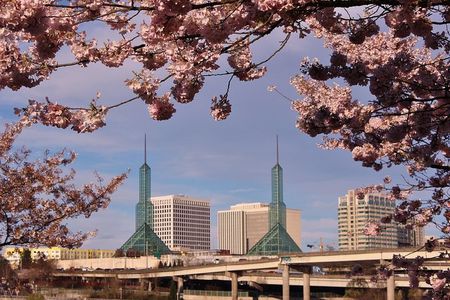 Portland Afternoon City Tour