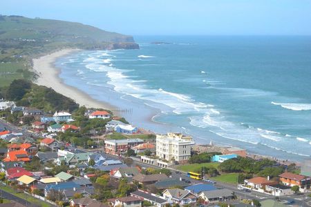Private Guided Tour of Dunedin City Heritage and Unique Wildlife and Scenery