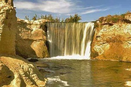 Over Day tour to Fayoum Oasis and Wadi El Hitan from Cairo or Giza