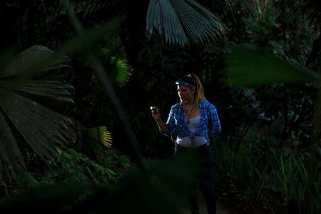 Guided Night Hike Arenal Mundo Aventura