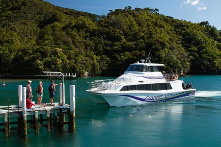 3.5 Hour Marlborough Sounds Delivery Cruise