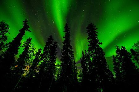 Northern Lights Tours