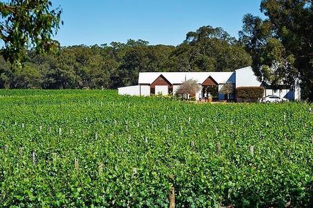 Upper Reach Winery: Swan Valley Winery and Vineyard Tour