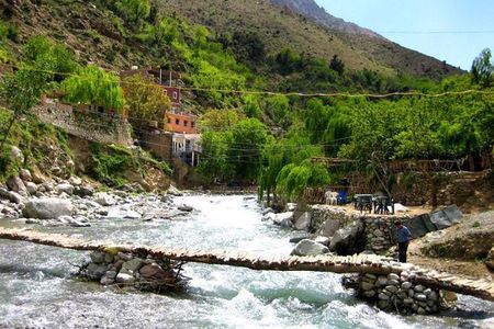 A Half-day Excursion To Ourika Valley