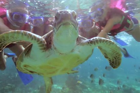 Riviera Maya Snorkeling
