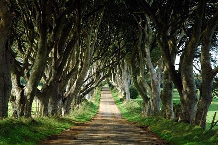 Game of Thrones and Giant's Causeway Day Tour from Belfast
