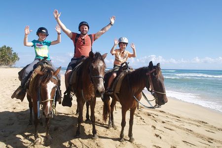 Horseback Riding on the Beach Free Transportation