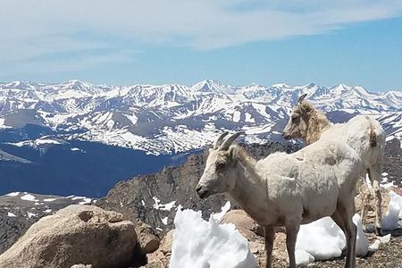 Mount Blue Sky 14,265ft Summit and Glacial Lakes
