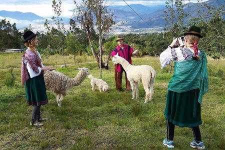 10-Day Ecuador Highlights