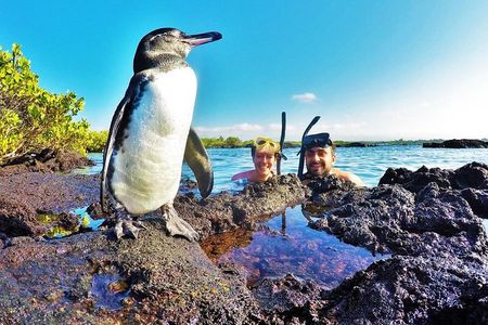 12-Day The Best Of Ecuador & Galapagos 