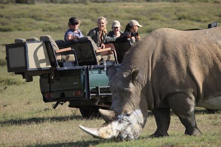 Private Garden Route Tour from Cape Town with Game Drive
