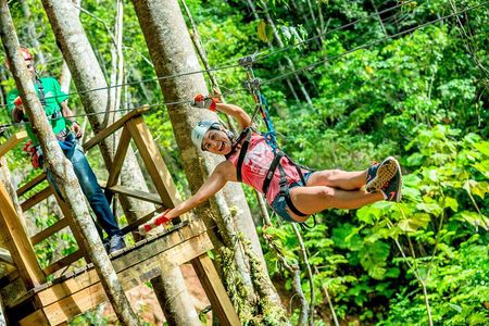 Treetop Zipline Experience From Castries