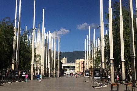 Medellin Parks and Squares Full Day Tour including Botero´s Plaza