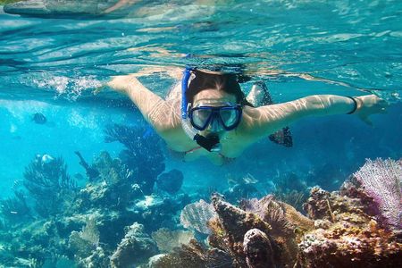 Cozumel Snorkeling Tour at Palancar & Colombia Reefs and El Cielo