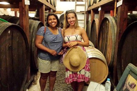 Private Tour: Ancient Akrotiri and Santorini Wineries Tour