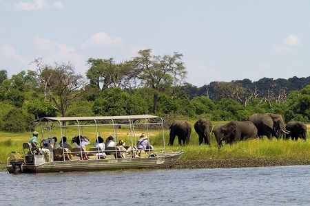 Chobe Full Day Safari Trip