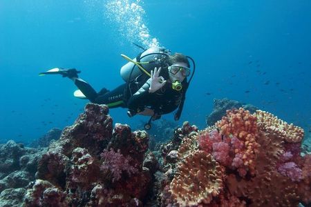 Marmaris Scuba Diving Experience with Lunch & Hotel Transfers