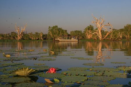 Corroboree Billabong Wetland Cruises - 2 hour Sunset Cruise