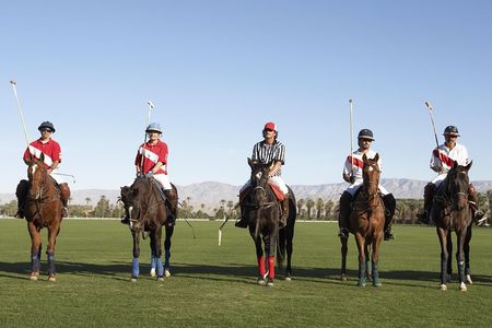 Polo Match, BBQ and Lesson Day-Trip from Buenos Aires