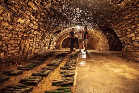 Private Bohemia Wine Tour from Prague with Gourmet Tastings