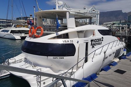Sunset & Champagne Cruise for 2 pax on TIGGER 2 ( Guaranteed departure )