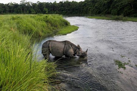 Budget Tour in Chitwan and Pokhara, Nepal