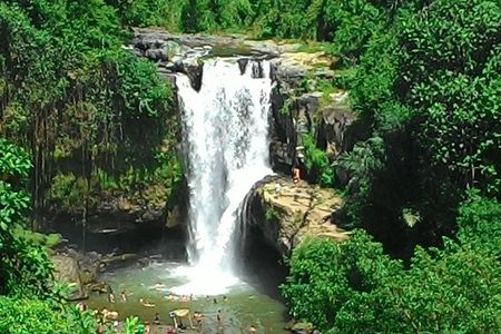Bali Hindu temple, Rice terrace, Waterfall -All Inclusive