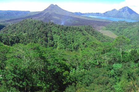Bali Ubud & Kintamani Volcano Tour -All Inclusive