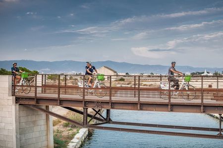Cagliari E-Bike Tour: Gulf, Canals & Flamingos at Molentargius