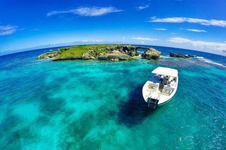 Eco Tour Antigua