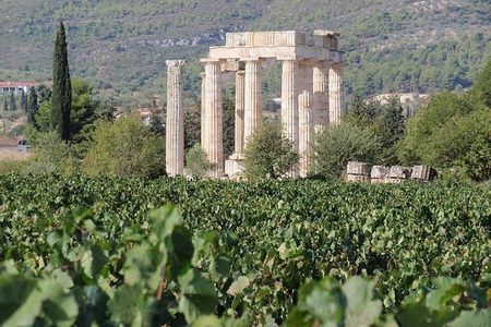 Nemea wine roads, The most famous wine tour in Greece