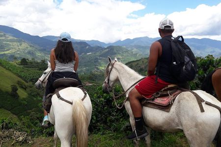 Horseback Riding in Medellin Private Tour: Great Views & Horses 