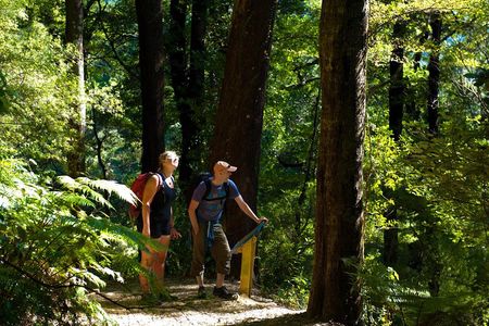 Self-Guided Queen Charlotte Track Walk from Picton