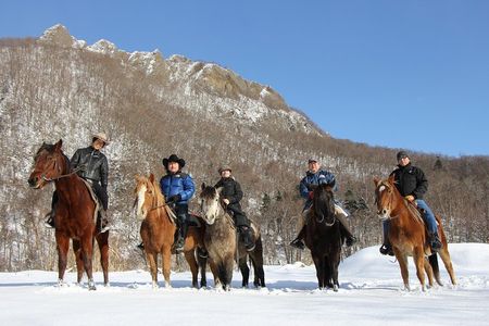 Horseback-Riding in a Country Side in Sapporo - Private Transfer is Included