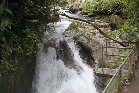 Mindo Cloudforest and Birdwatching from Quito BY ECUADORTREASURE