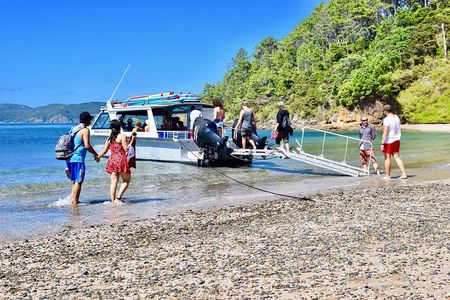 Day Cruise & Island Tour - Snorkel/Wildlife/Paddleboard/Islands